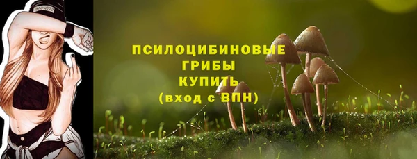 гидропоника Арсеньев