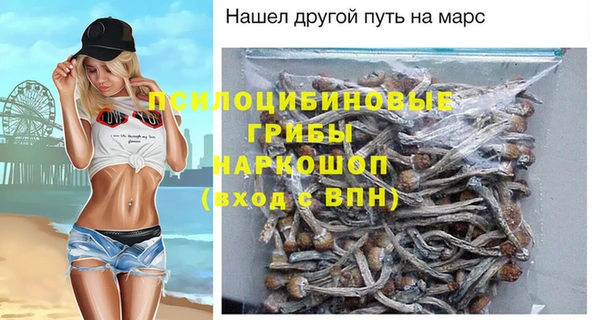 винт Аркадак