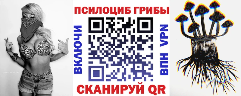 Галлюциногенные грибы мицелий  хочу наркоту  Бахчисарай 